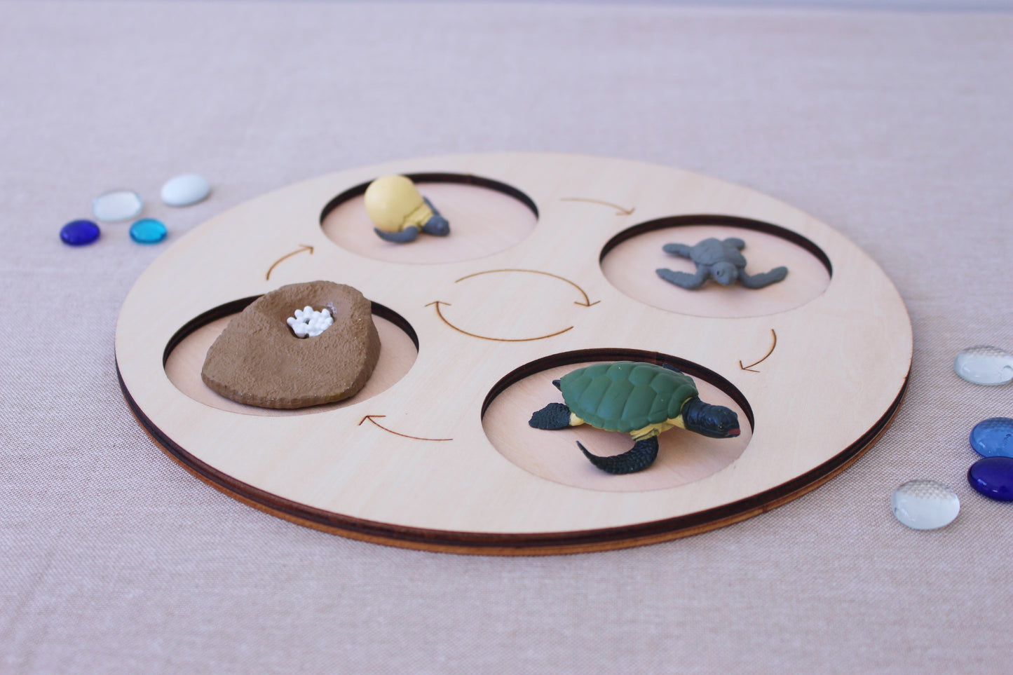 Life Cycle of a Turtle - Set of Figurines