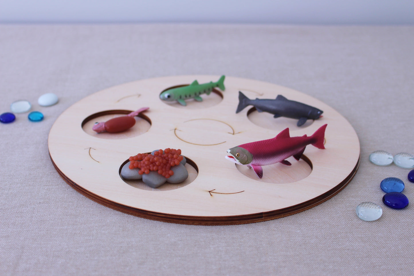 Life Cycle of a Salmon - Set of Figurines