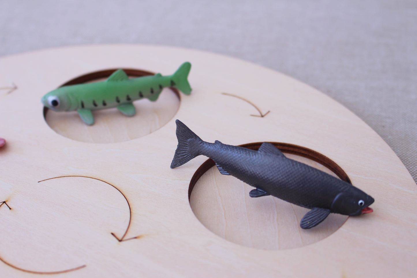 Life Cycle of a Salmon - Set of Figurines