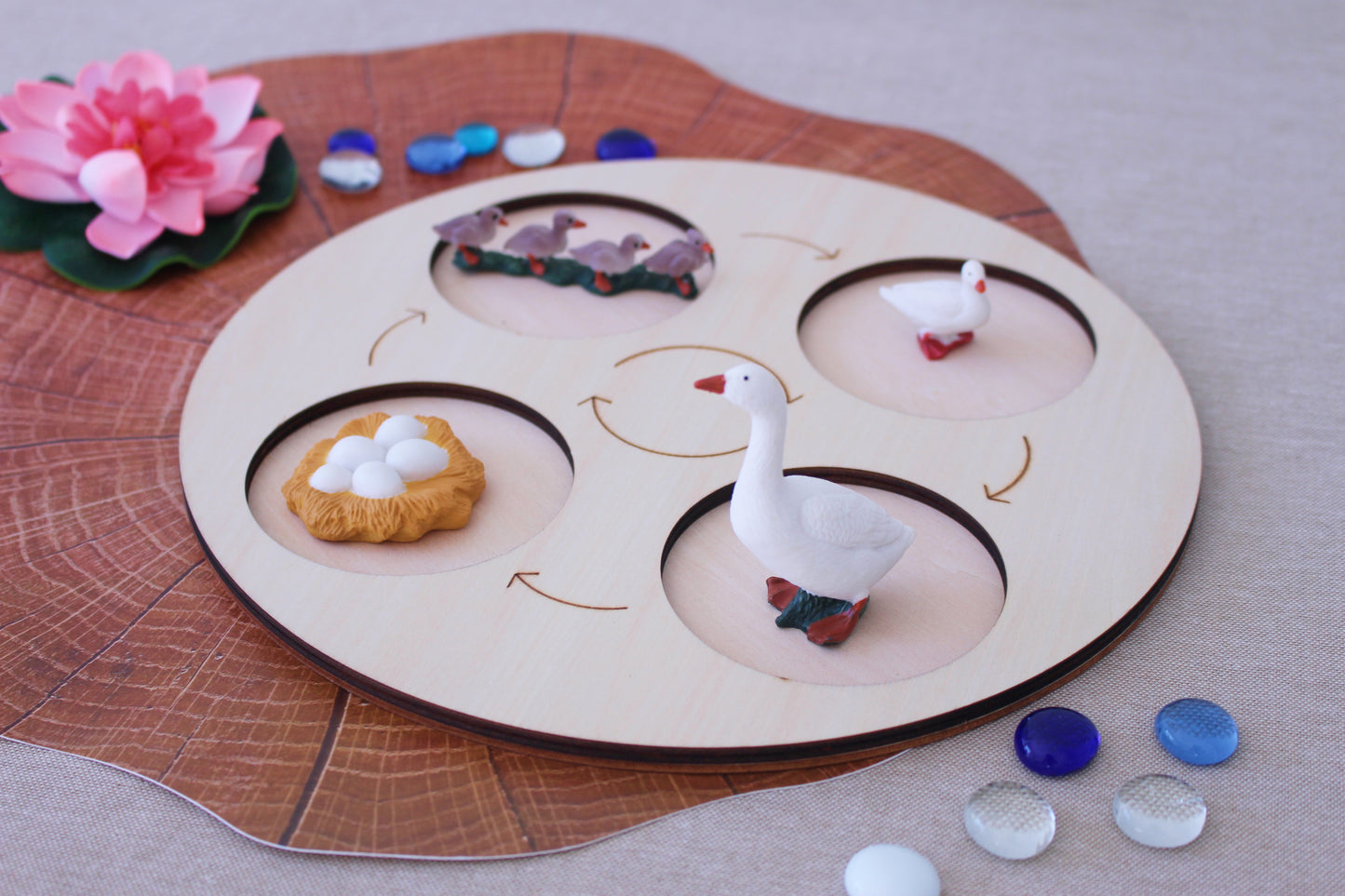 Life Cycle of a Goose - Set of Figurines