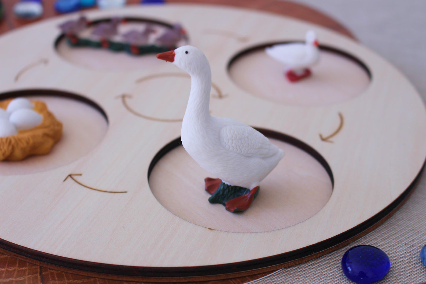 Life Cycle of a Goose - Set of Figurines