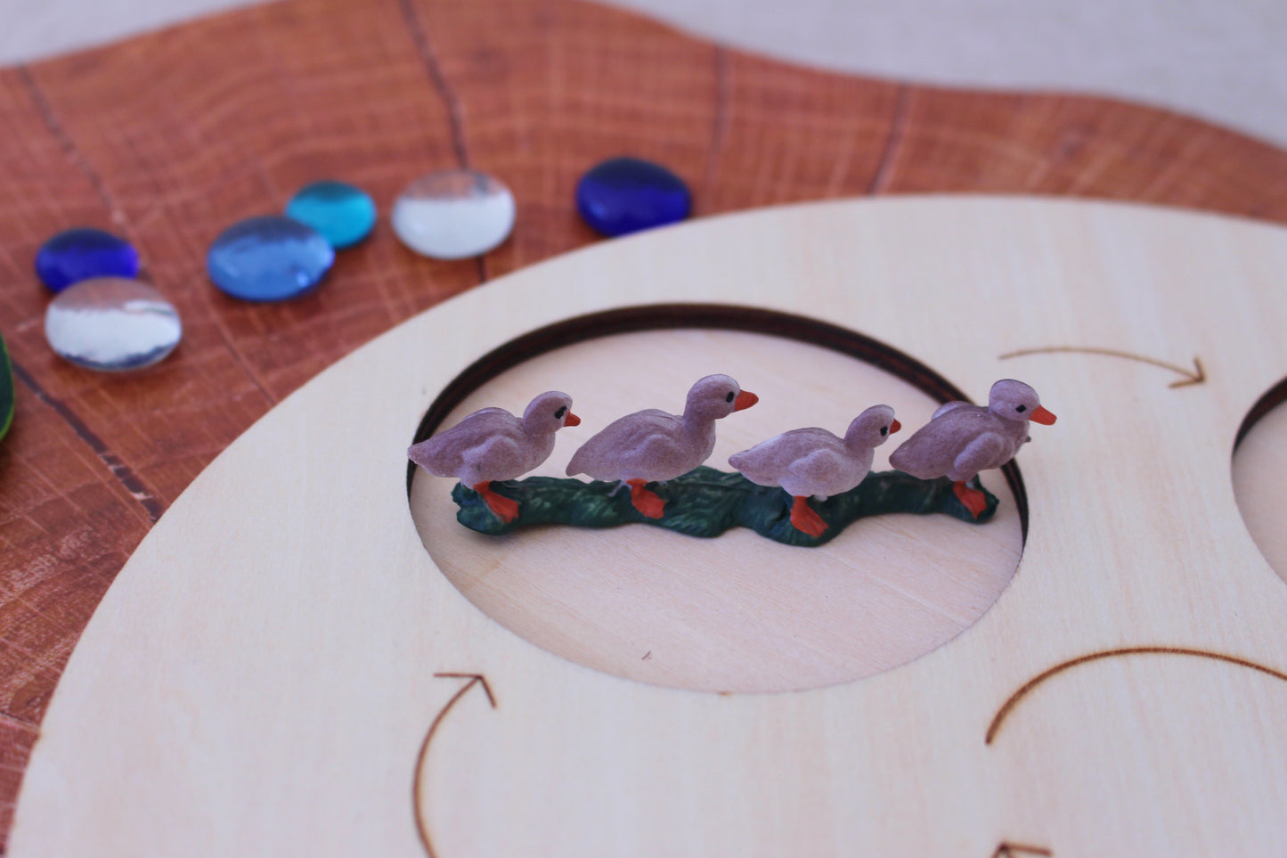 Life Cycle of a Goose - Set of Figurines