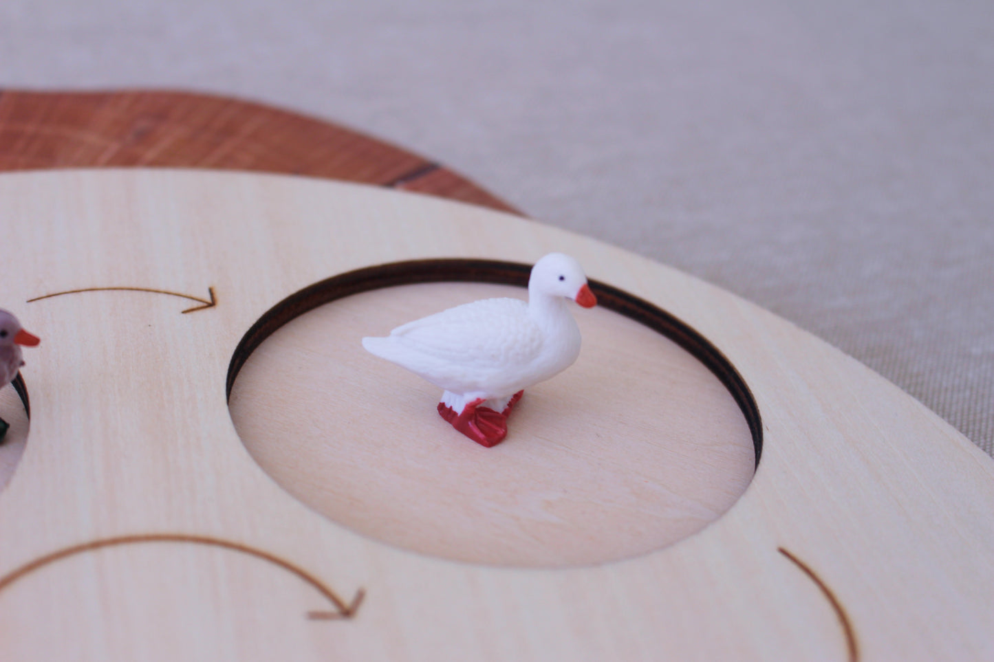Life Cycle of a Goose - Set of Figurines