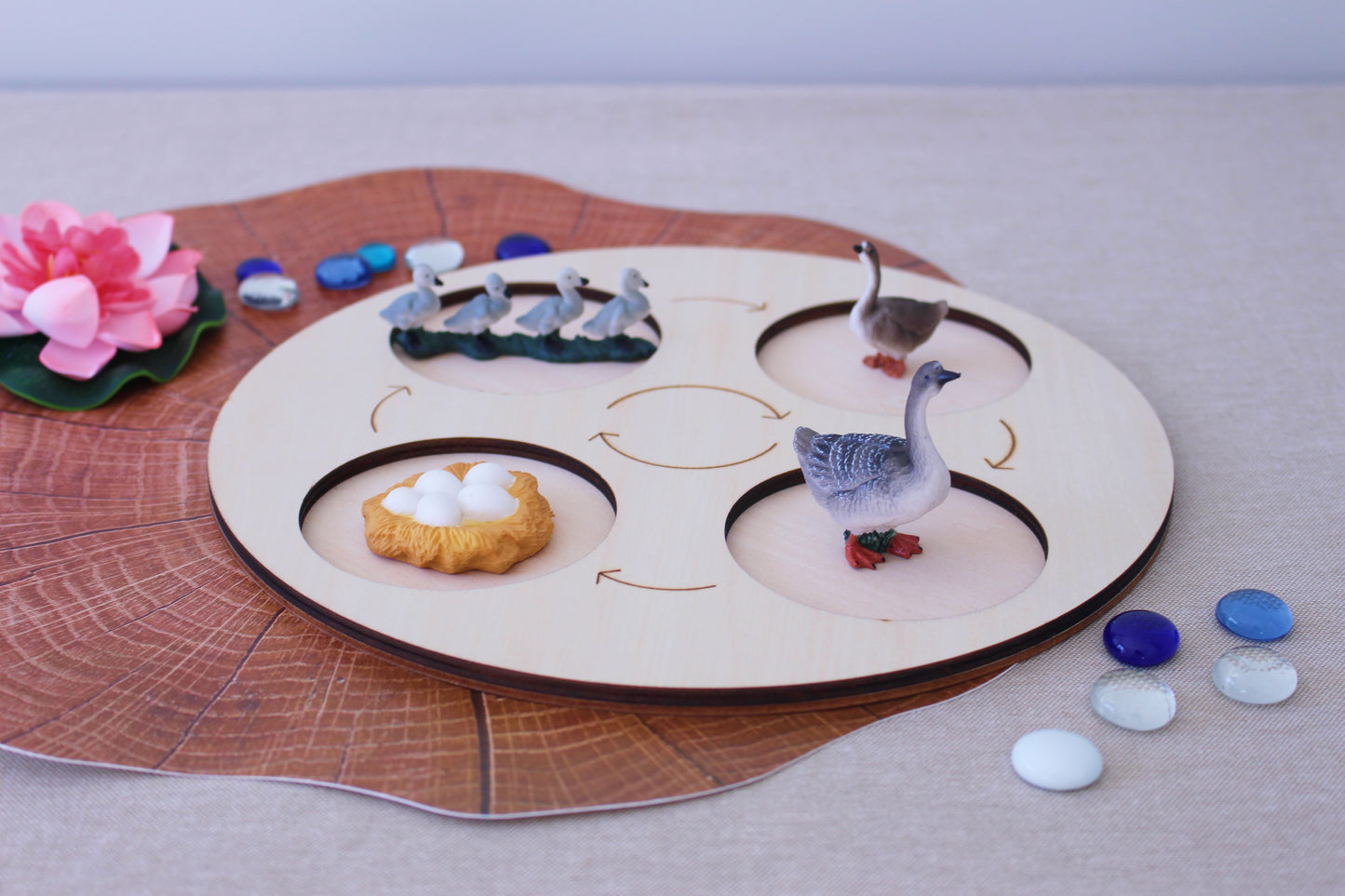 Life Cycle of a Grey Goose - Set of Figurines