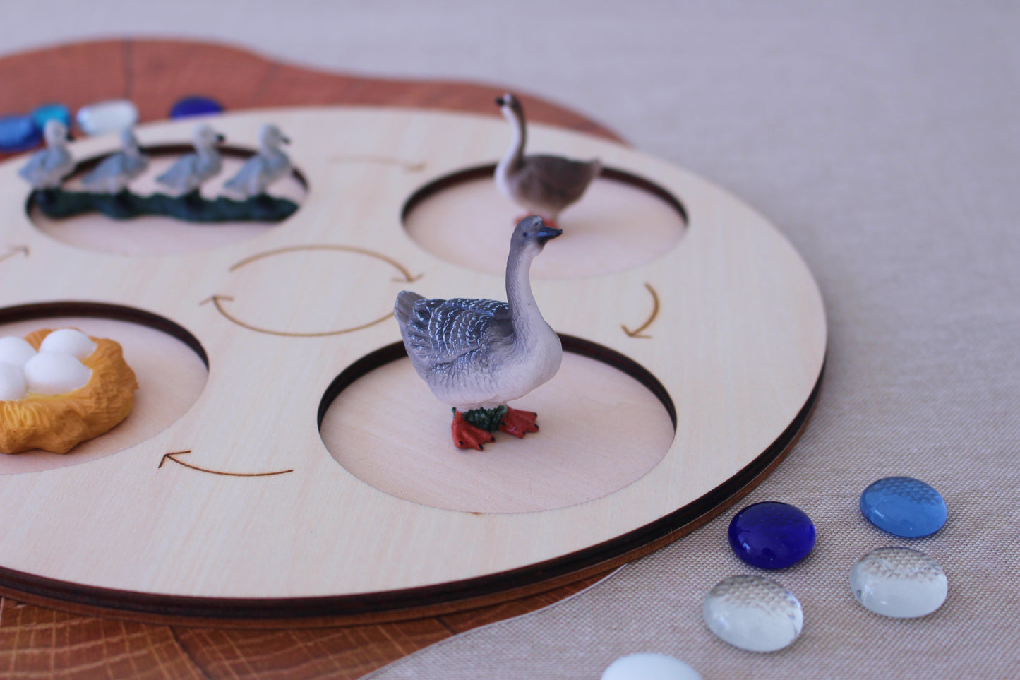 Life Cycle of a Grey Goose - Set of Figurines