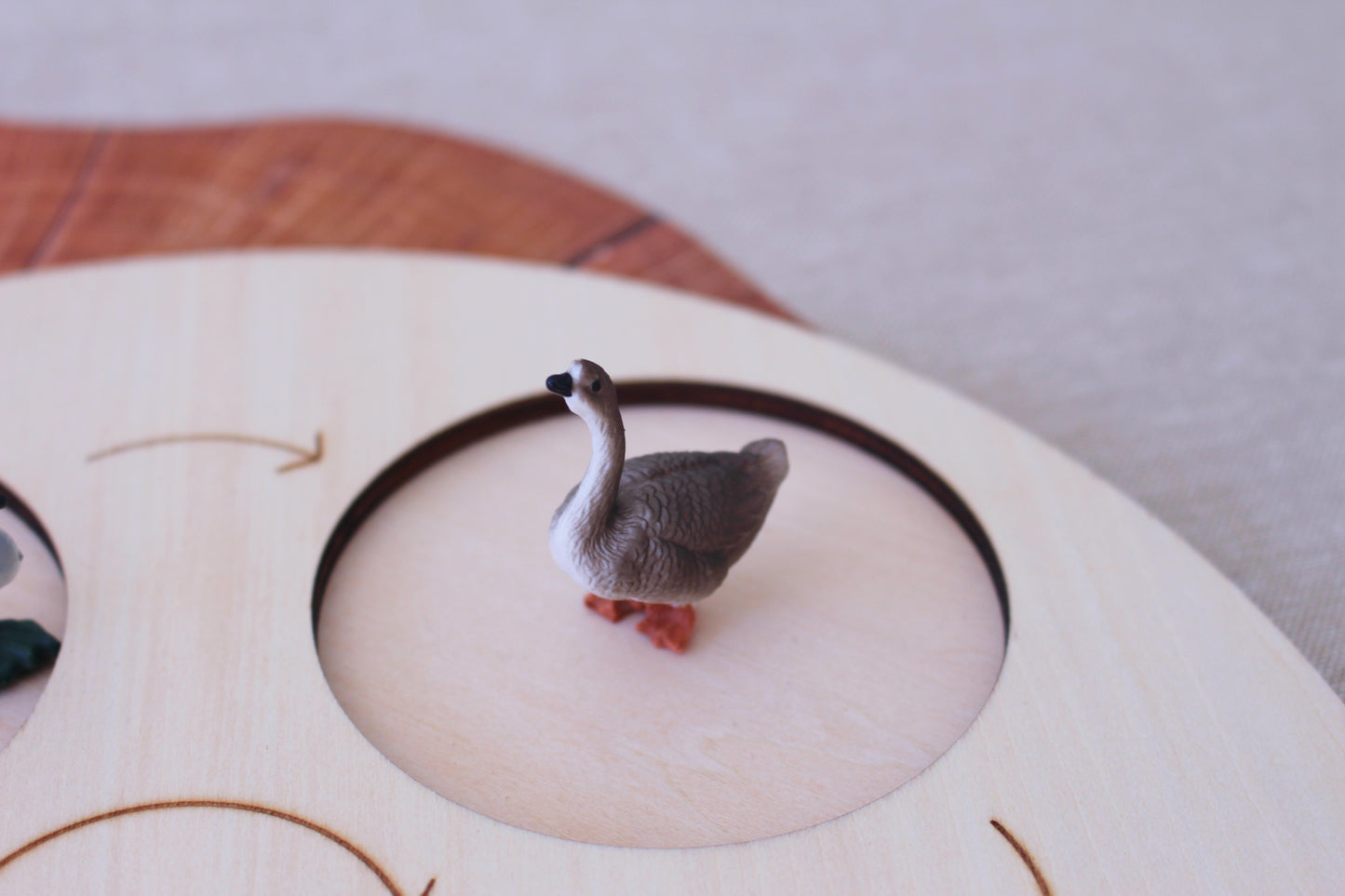 Life Cycle of a Grey Goose - Set of Figurines
