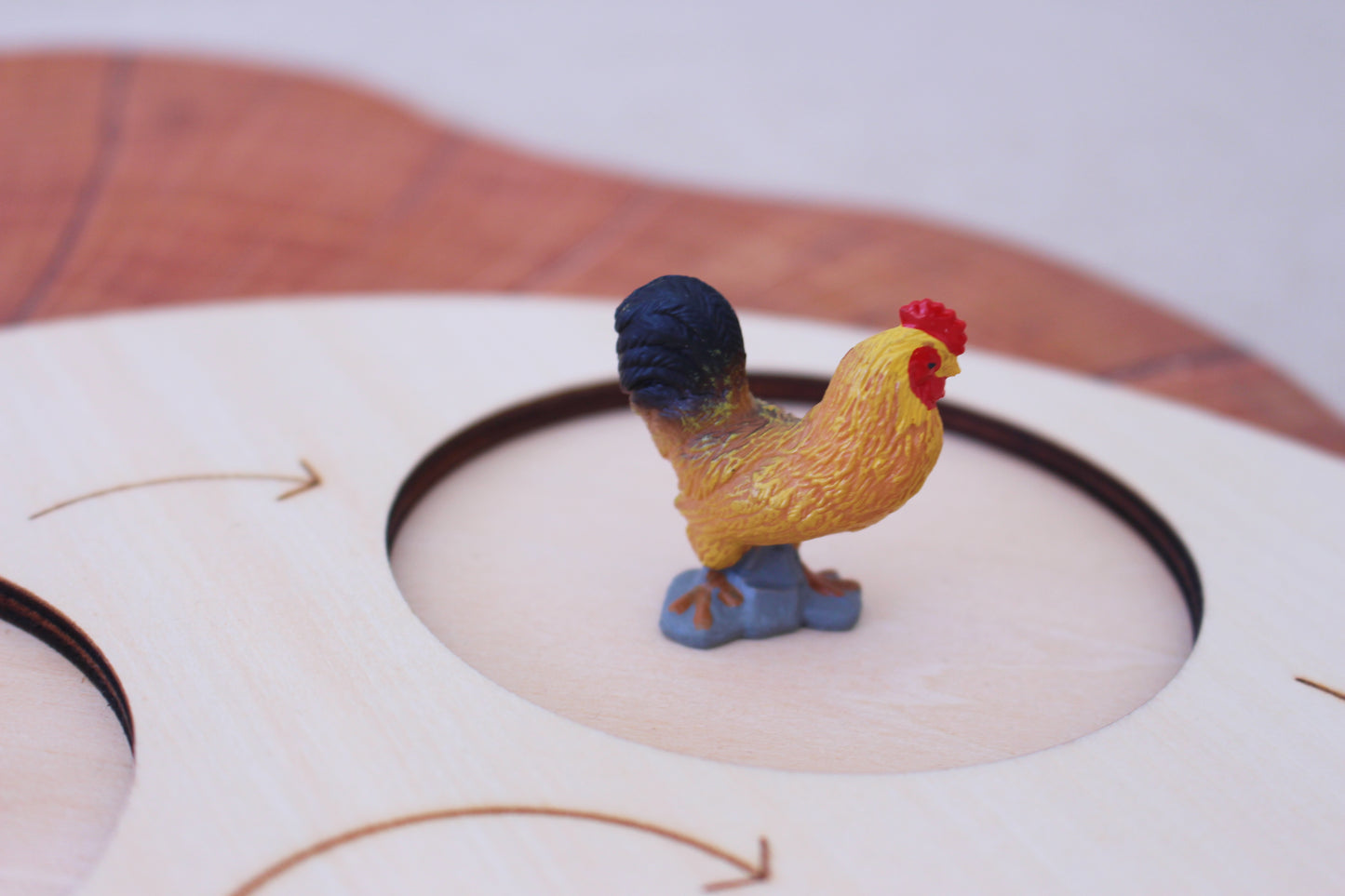Life Cycle of a Rooster - Set of Figurines