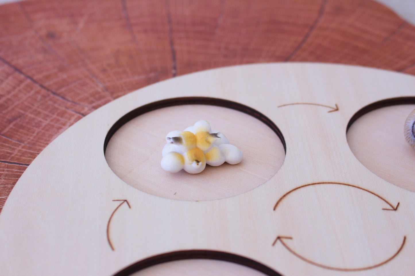 Life Cycle of a Snail - Set of Figurines