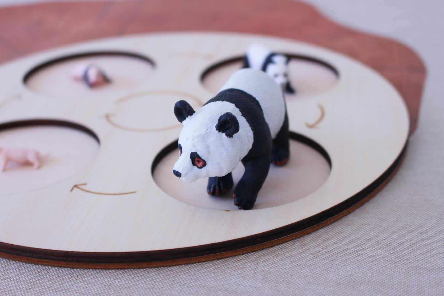 Life Cycle of a Panda - Set of Figurines