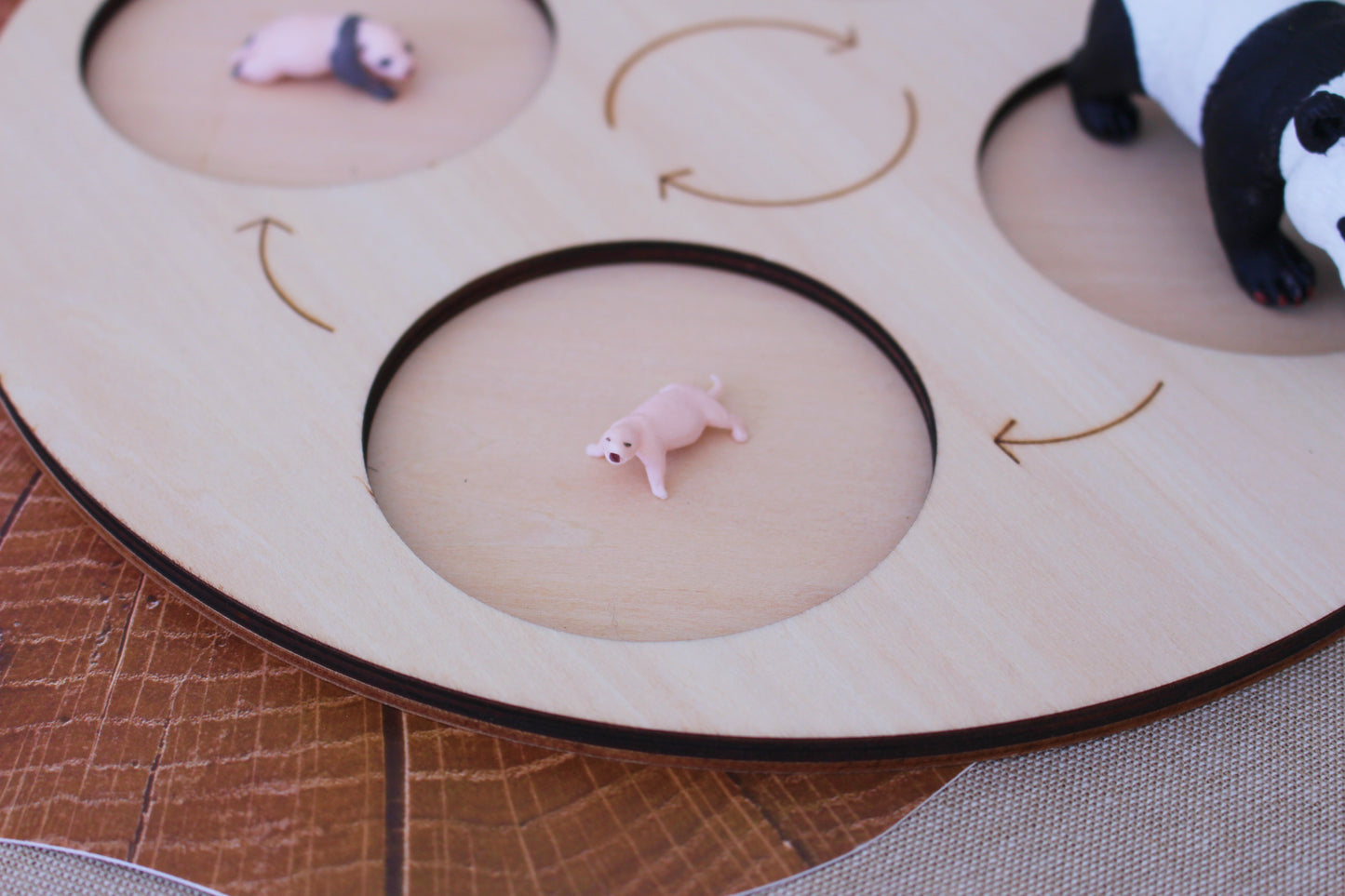 Life Cycle of a Panda - Set of Figurines