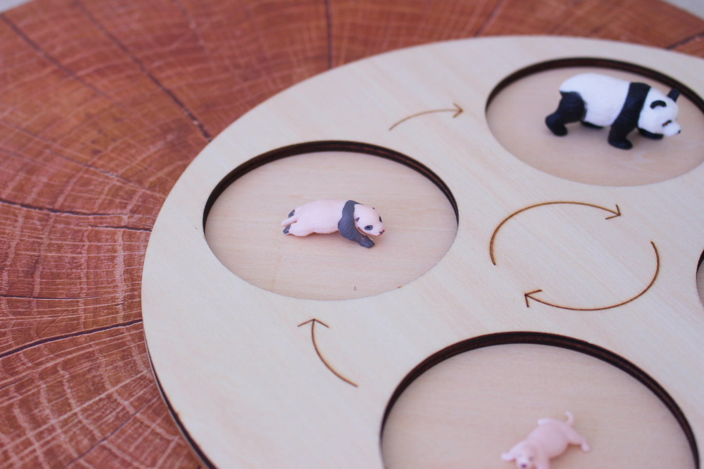 Life Cycle of a Panda - Set of Figurines