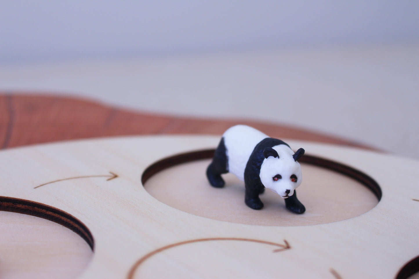 Life Cycle of a Panda - Set of Figurines