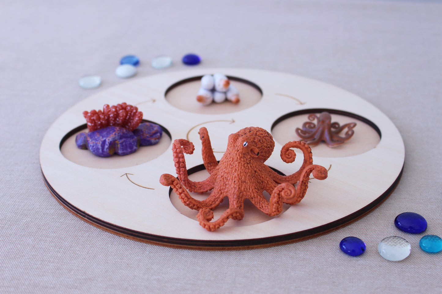 Life Cycle of an Octopus - Set of Figurines