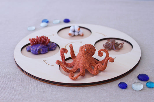 Life Cycle of an Octopus - Set of Figurines