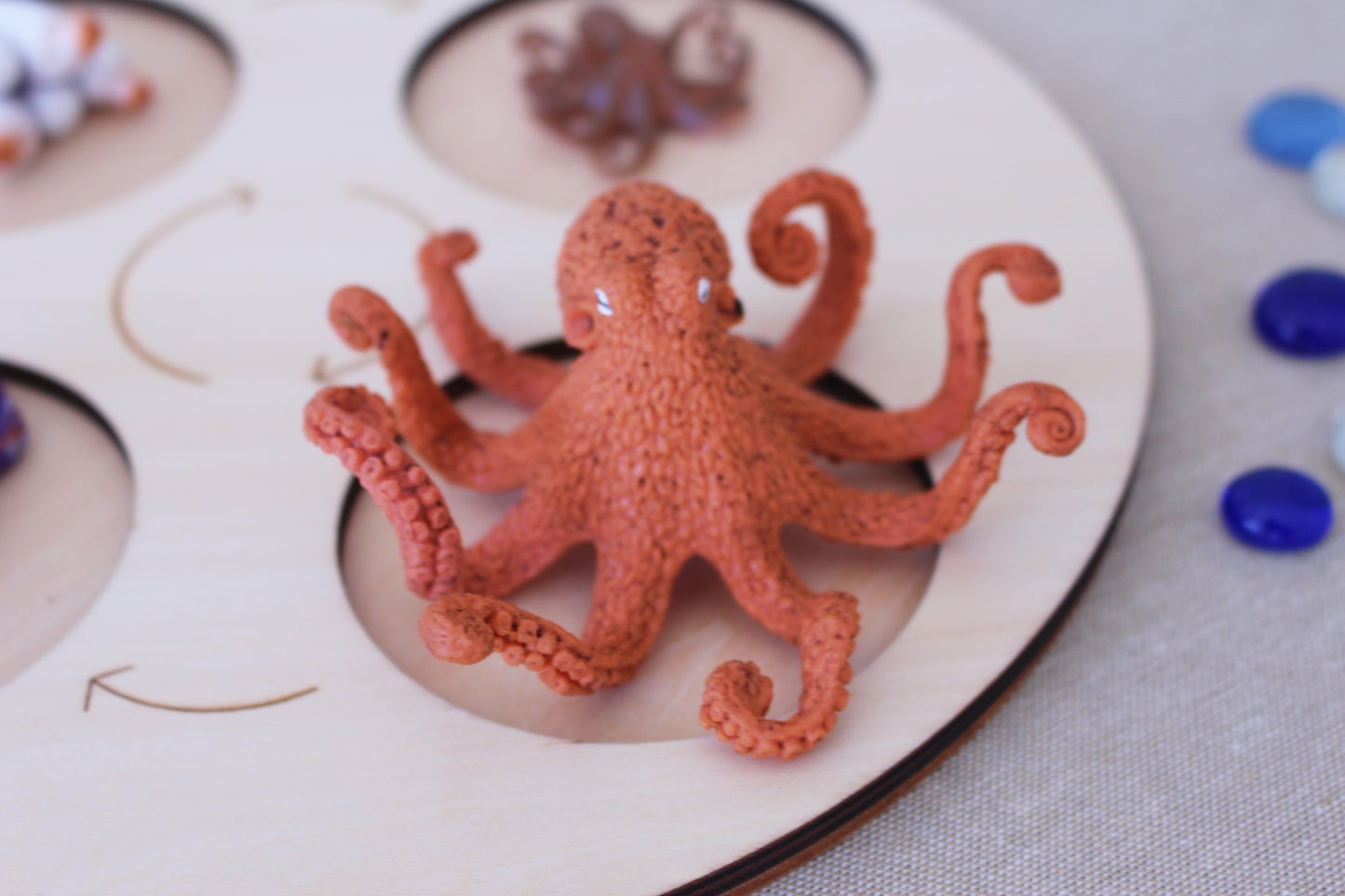 Life Cycle of an Octopus - Set of Figurines