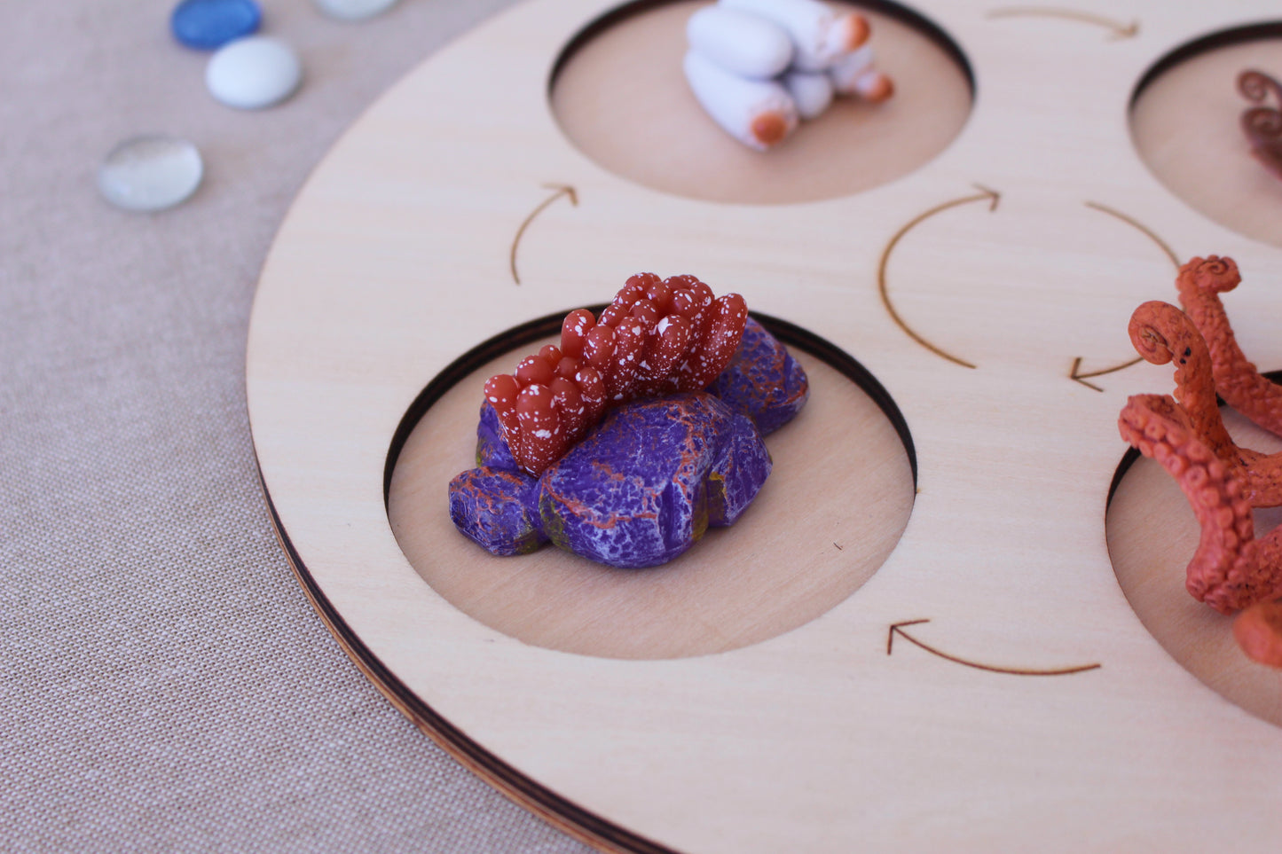 Life Cycle of an Octopus - Set of Figurines