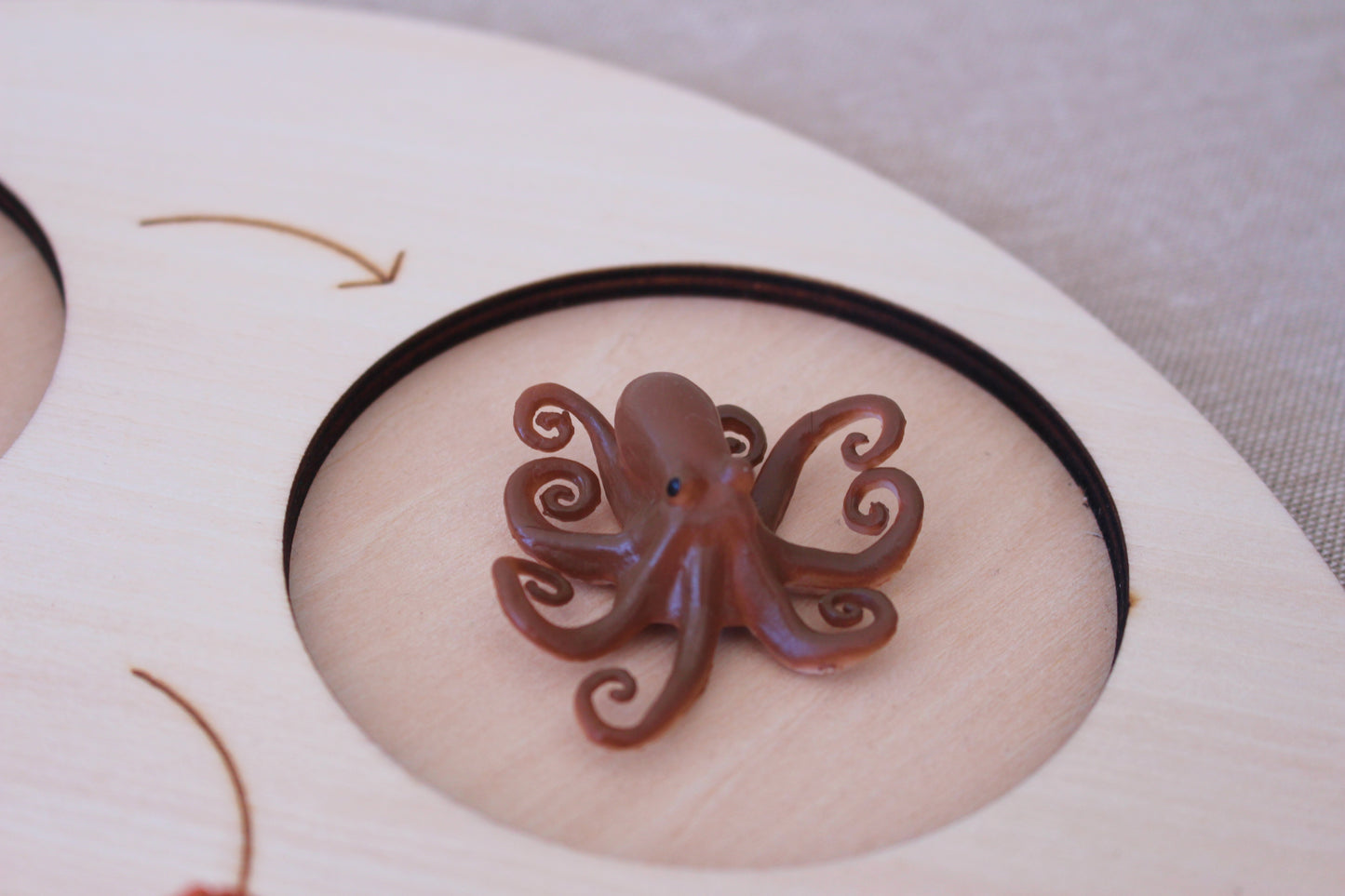 Life Cycle of an Octopus - Set of Figurines