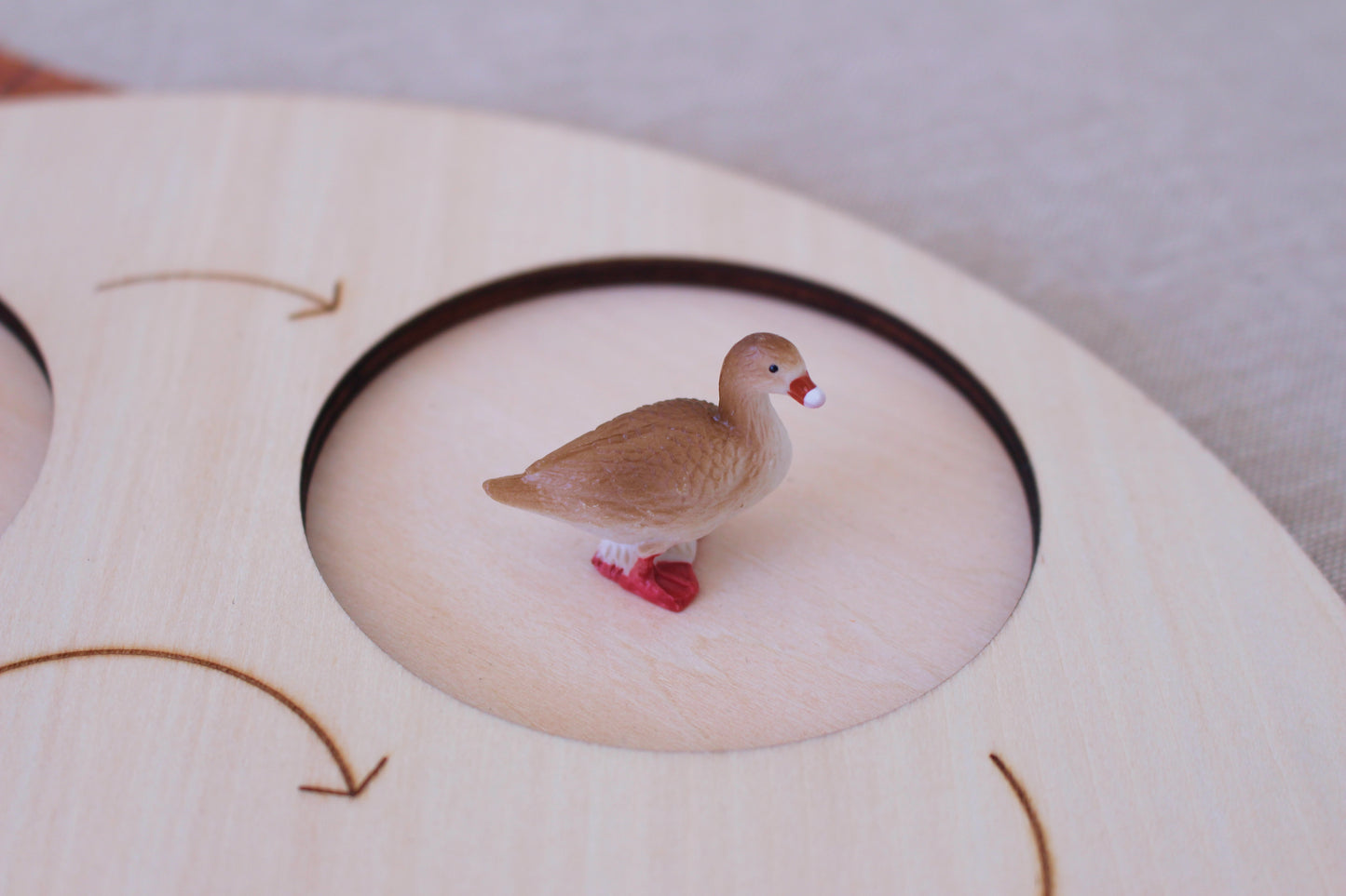 Life Cycle of a Black Swan - Set of Figurines