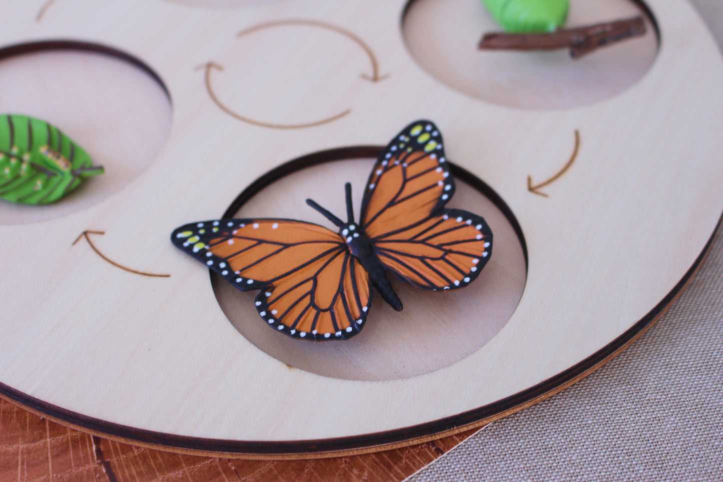 Life Cycle of a Butterfly - Set of Figurines