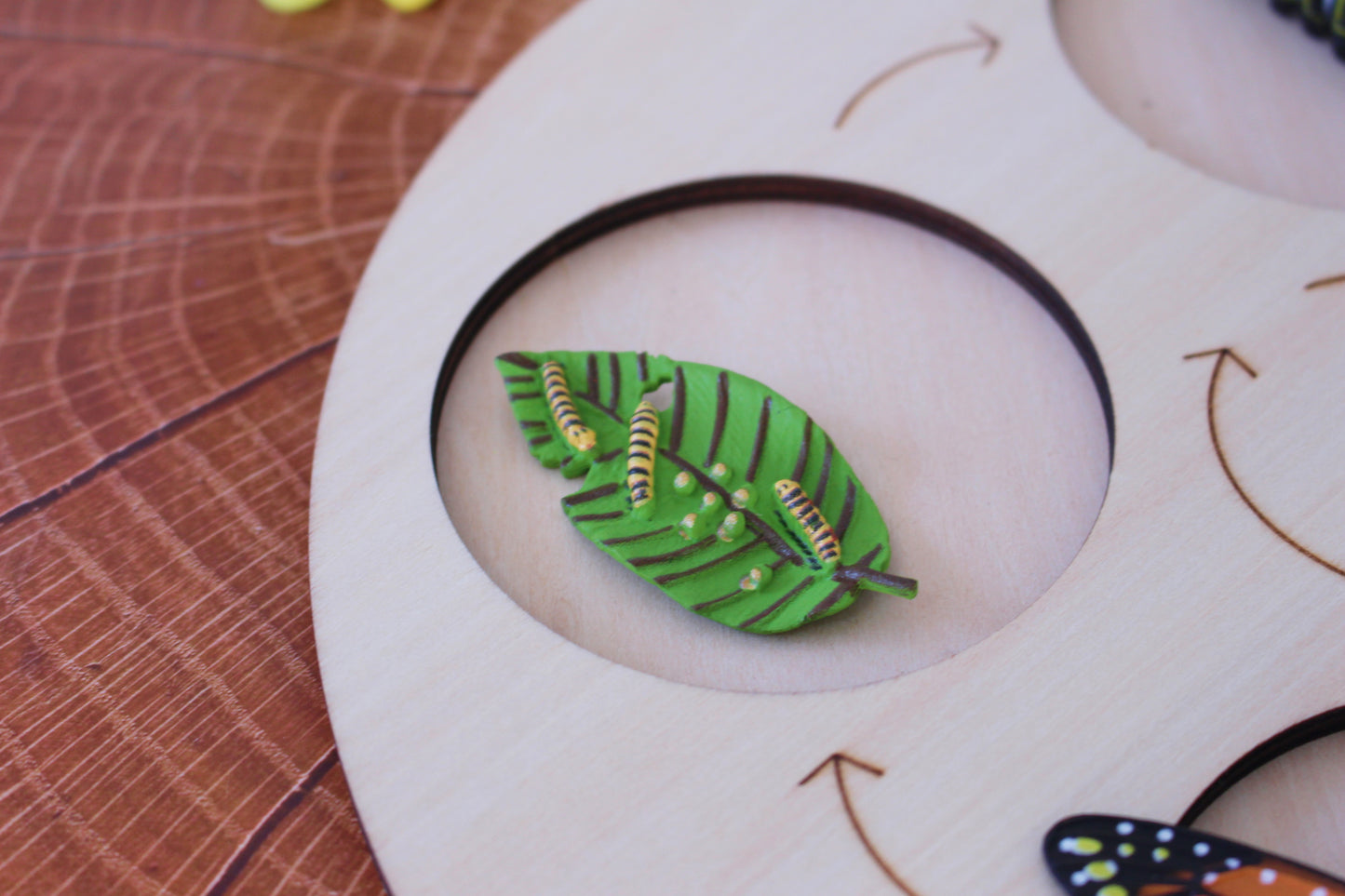 Life Cycle of a Butterfly - Set of Figurines