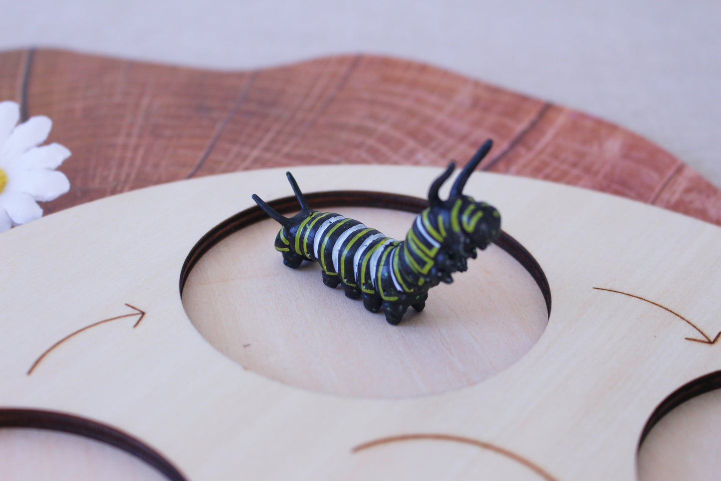 Life Cycle of a Butterfly - Set of Figurines