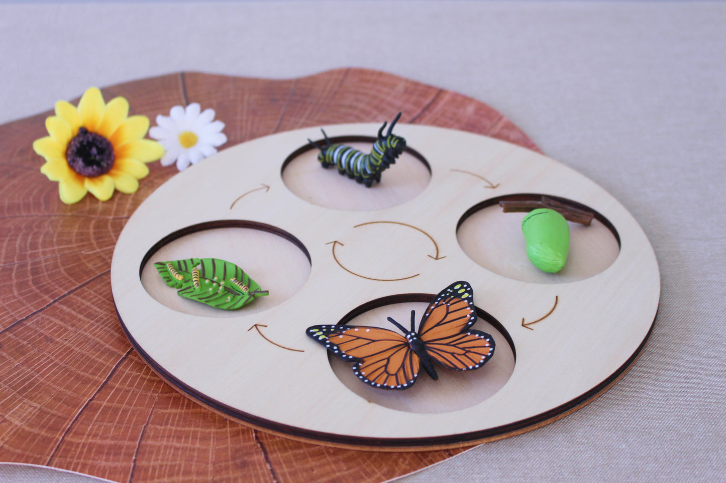 Life Cycle of a Butterfly - Set of Figurines