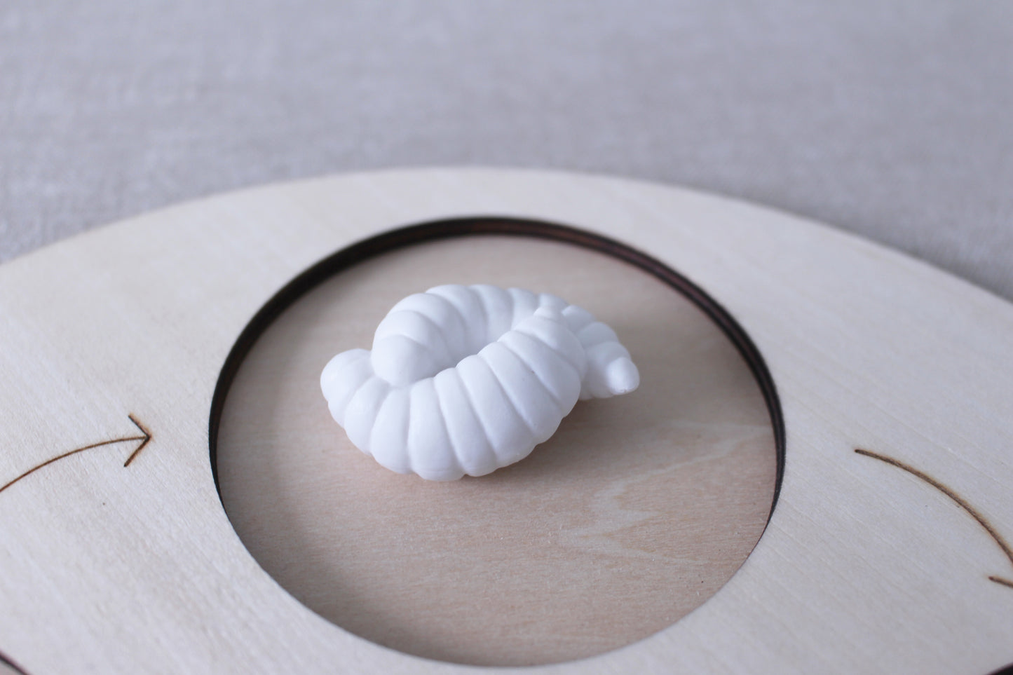 Life Cycle of an Ant - Set of Figurines