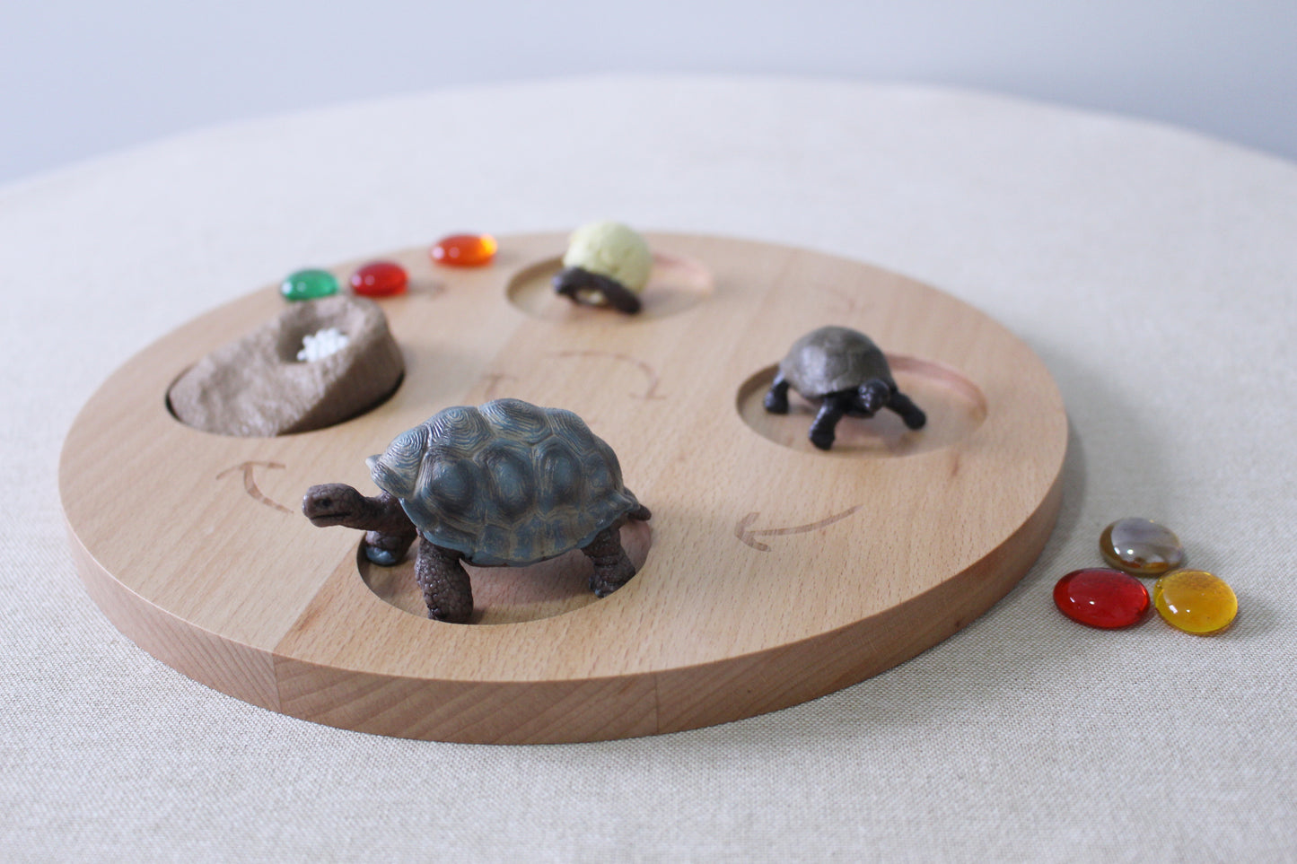 Life Cycle of a Tortoise - Set of Figurines