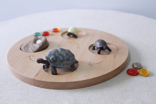 Life Cycle of a Tortoise - Set of Figurines