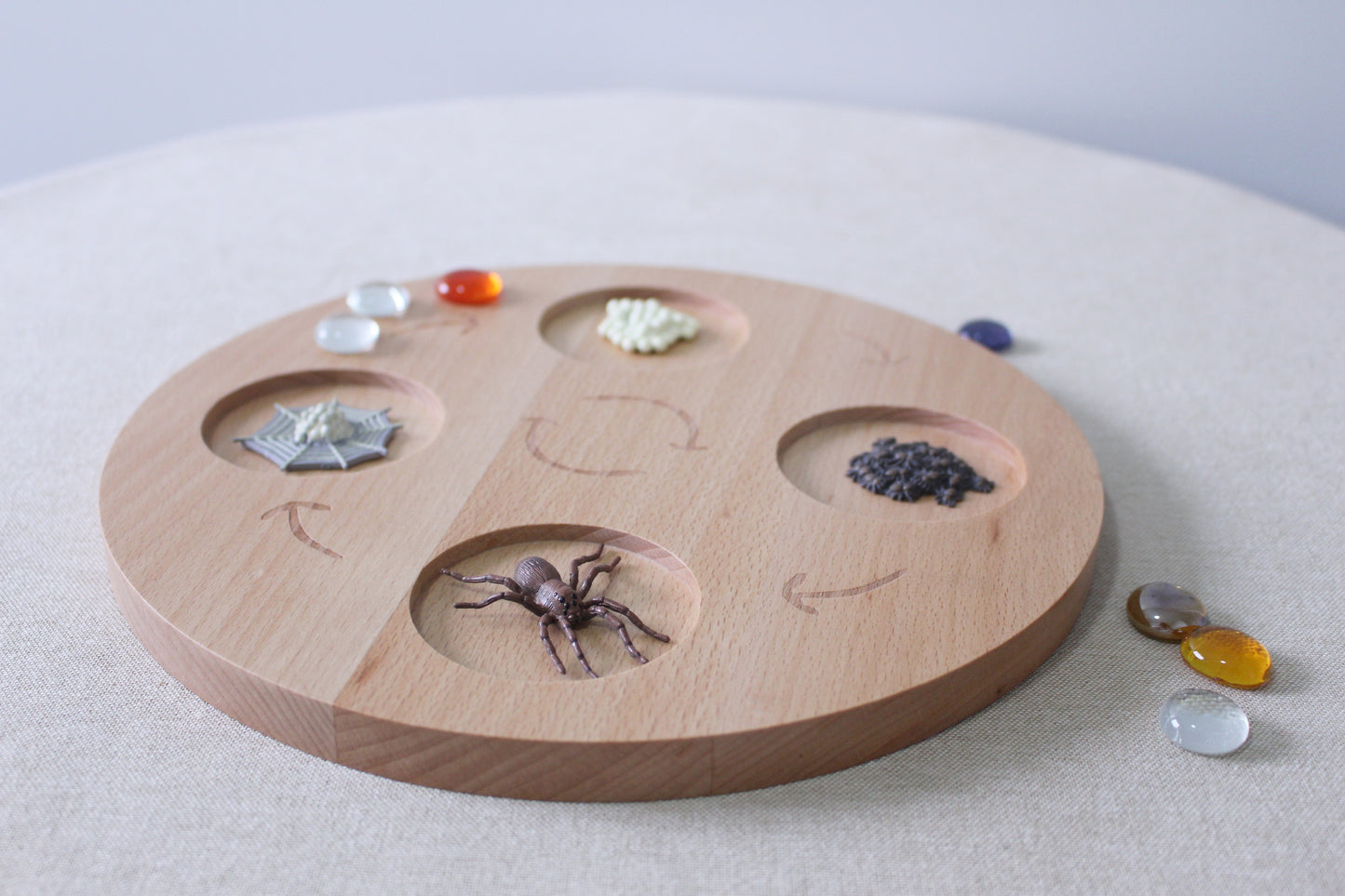 Life Cycle of a Spider - Set of Figurines