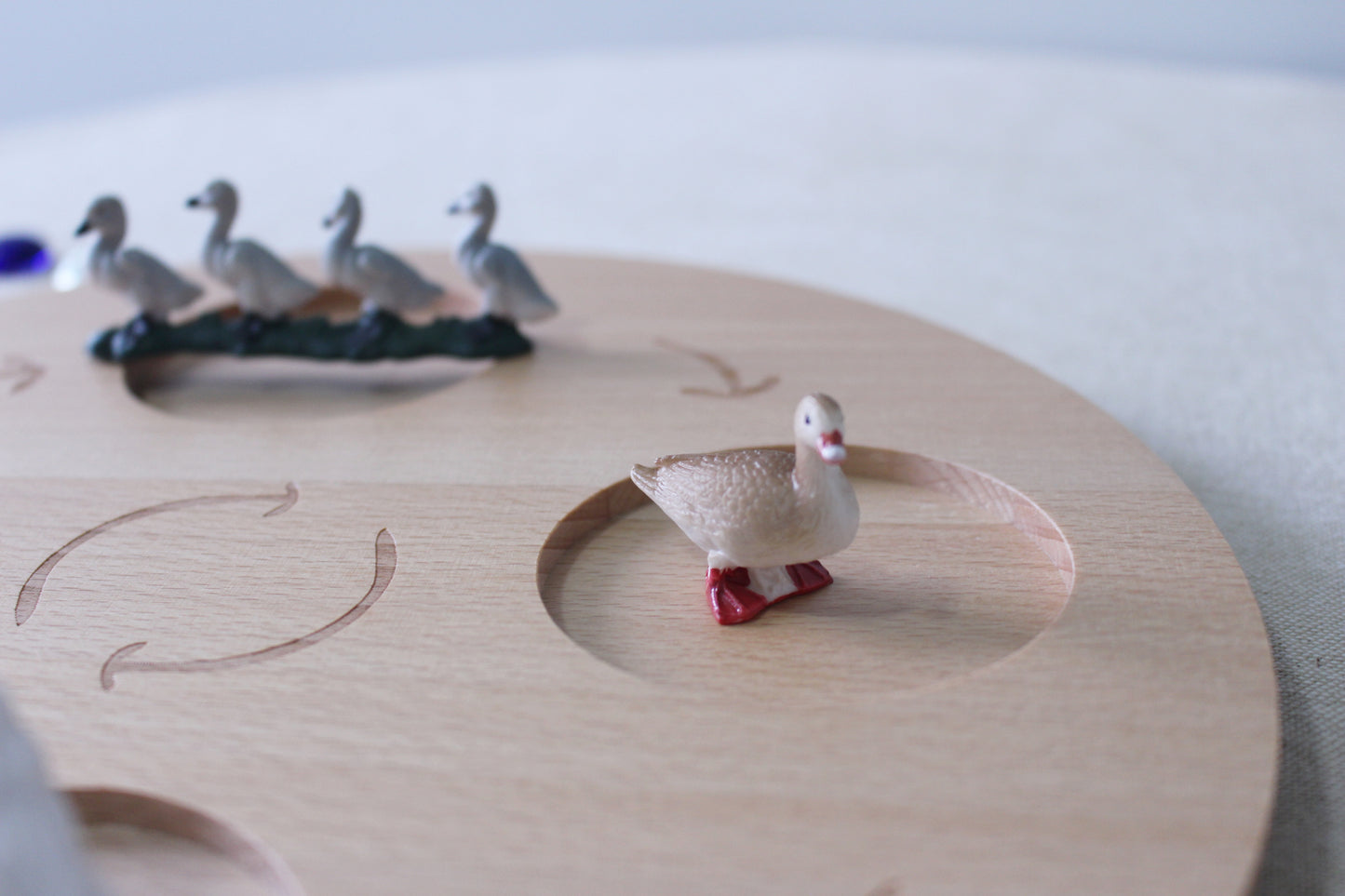 Life Cycle of a Swan - Set of Figurines