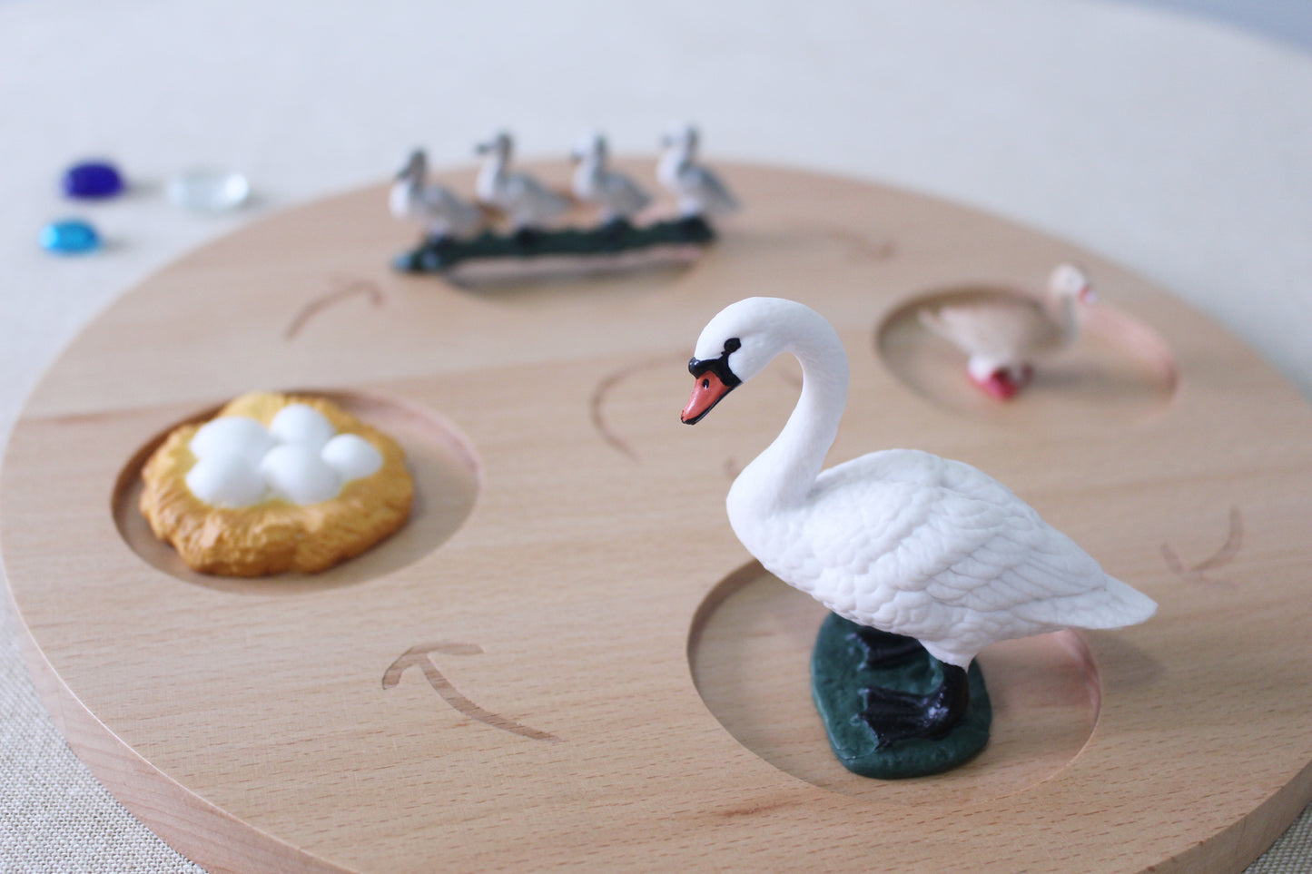 Life Cycle of a Swan - Set of Figurines
