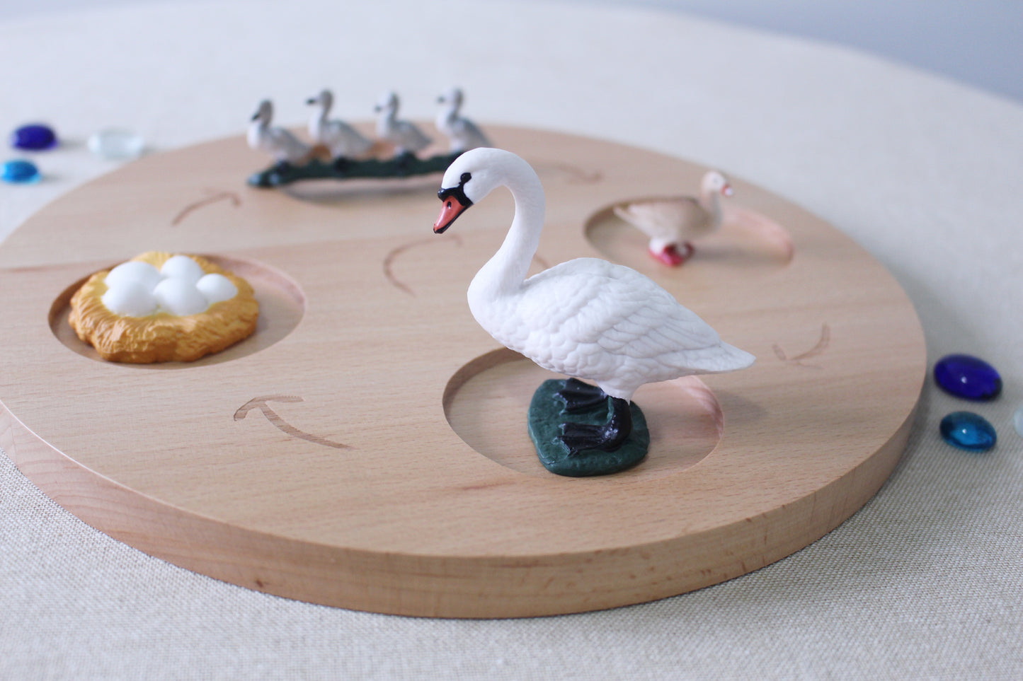 Life Cycle of a Swan - Set of Figurines