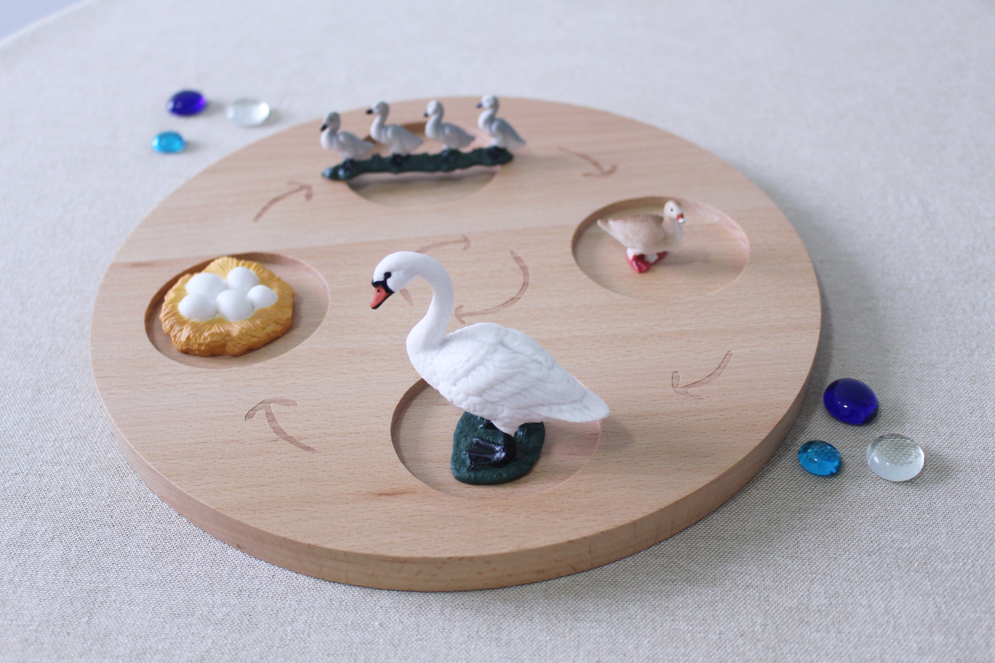 Life Cycle of a Swan - Set of Figurines