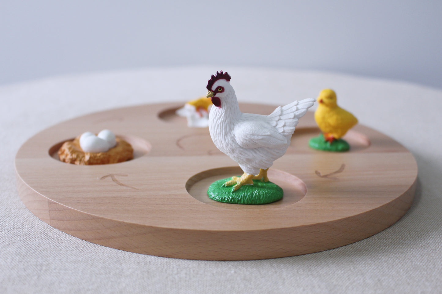Life Cycle of a Rooster - Set of Figurines
