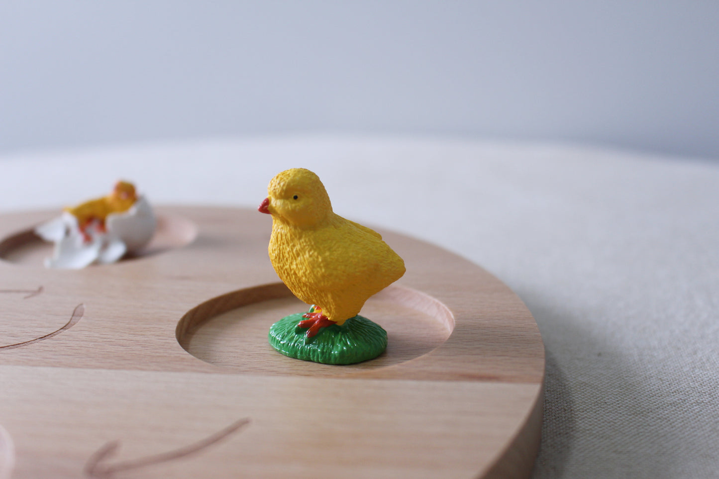 Life Cycle of a Rooster - Set of Figurines