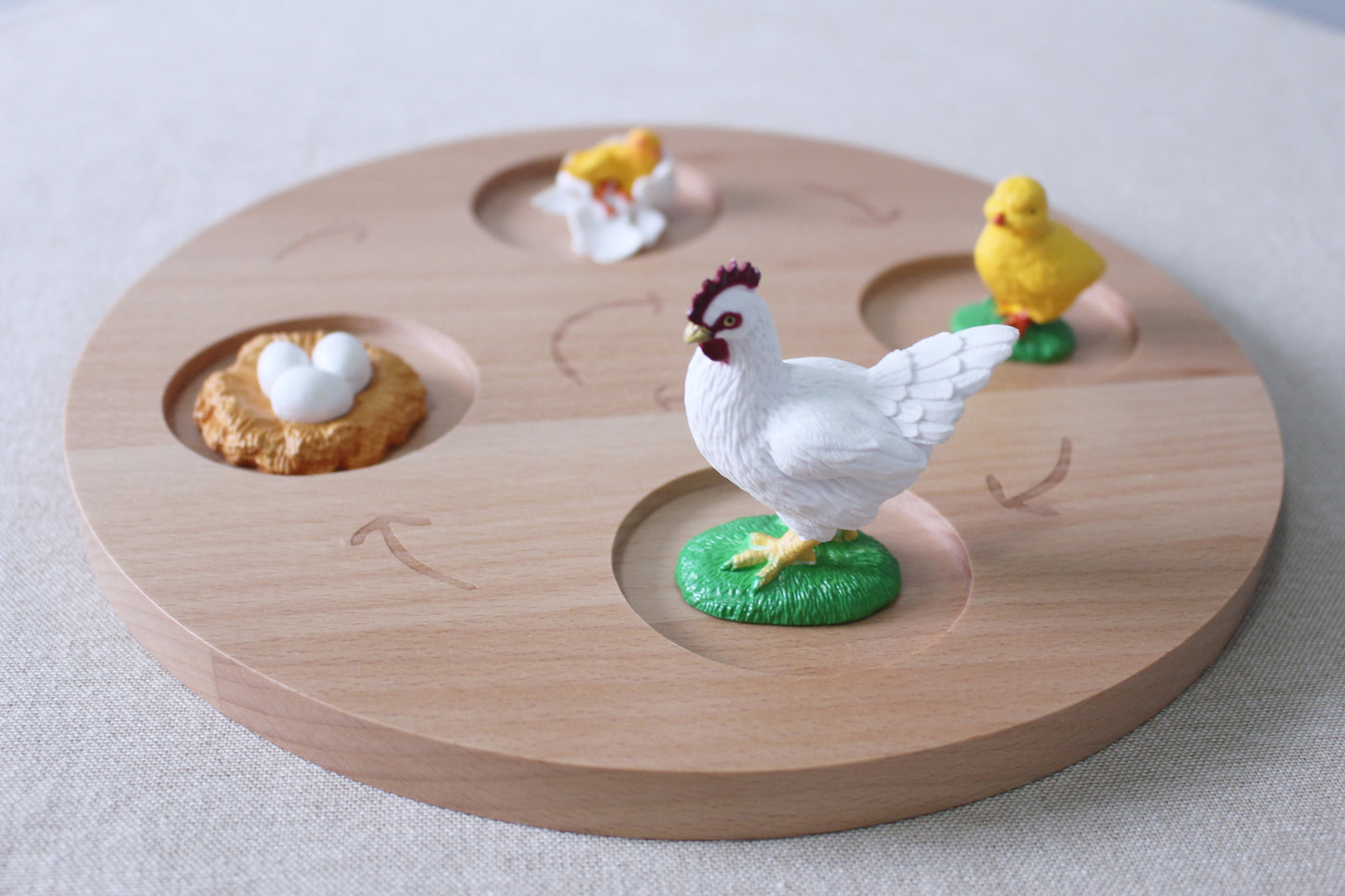 Life Cycle of a Rooster - Set of Figurines