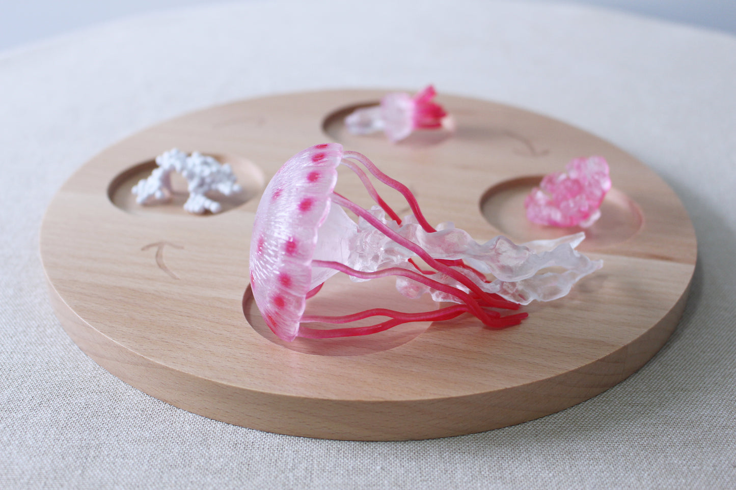 Life Cycle of a Jellyfish - Set of Figurines