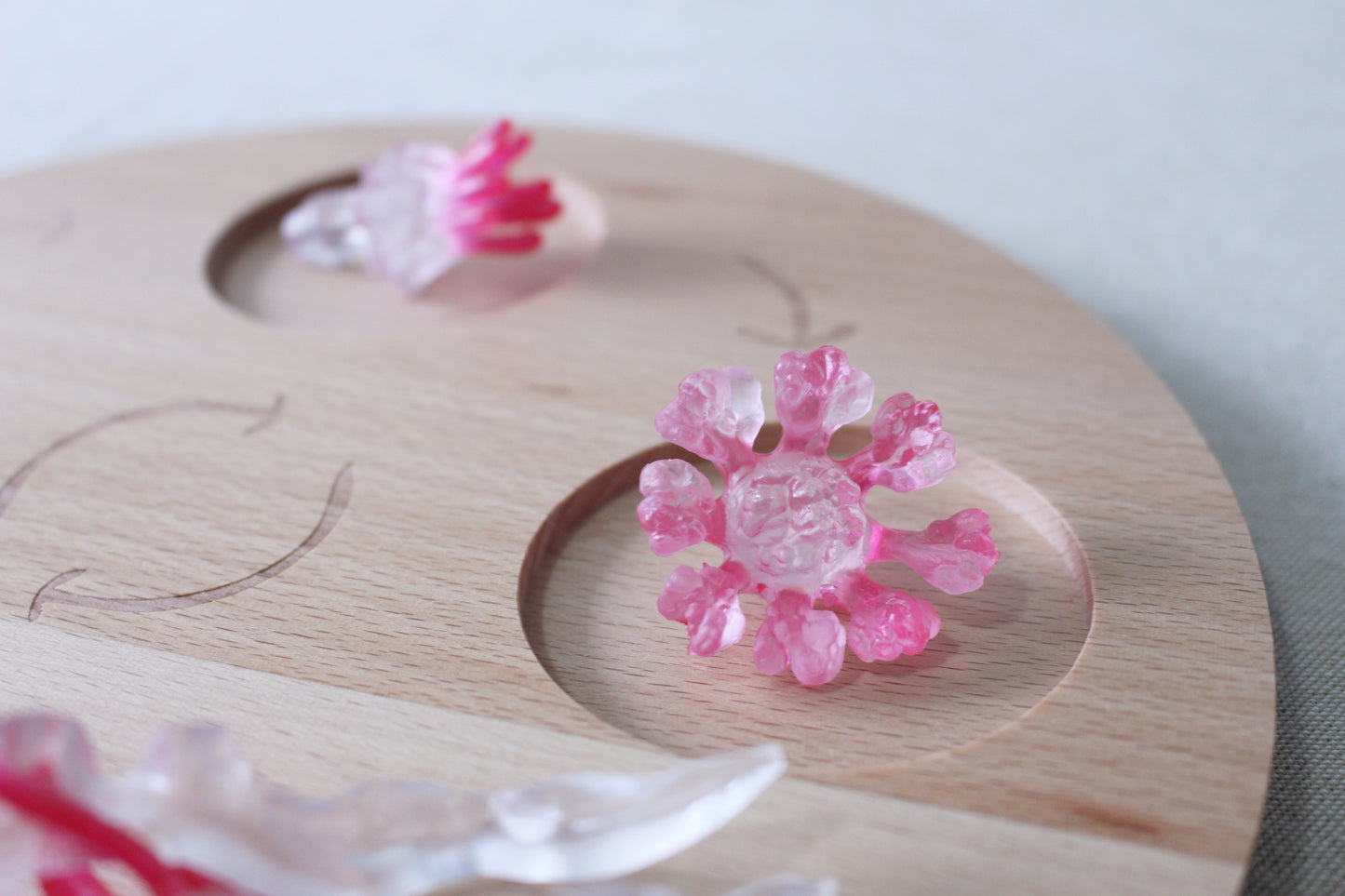 Life Cycle of a Jellyfish - Set of Figurines