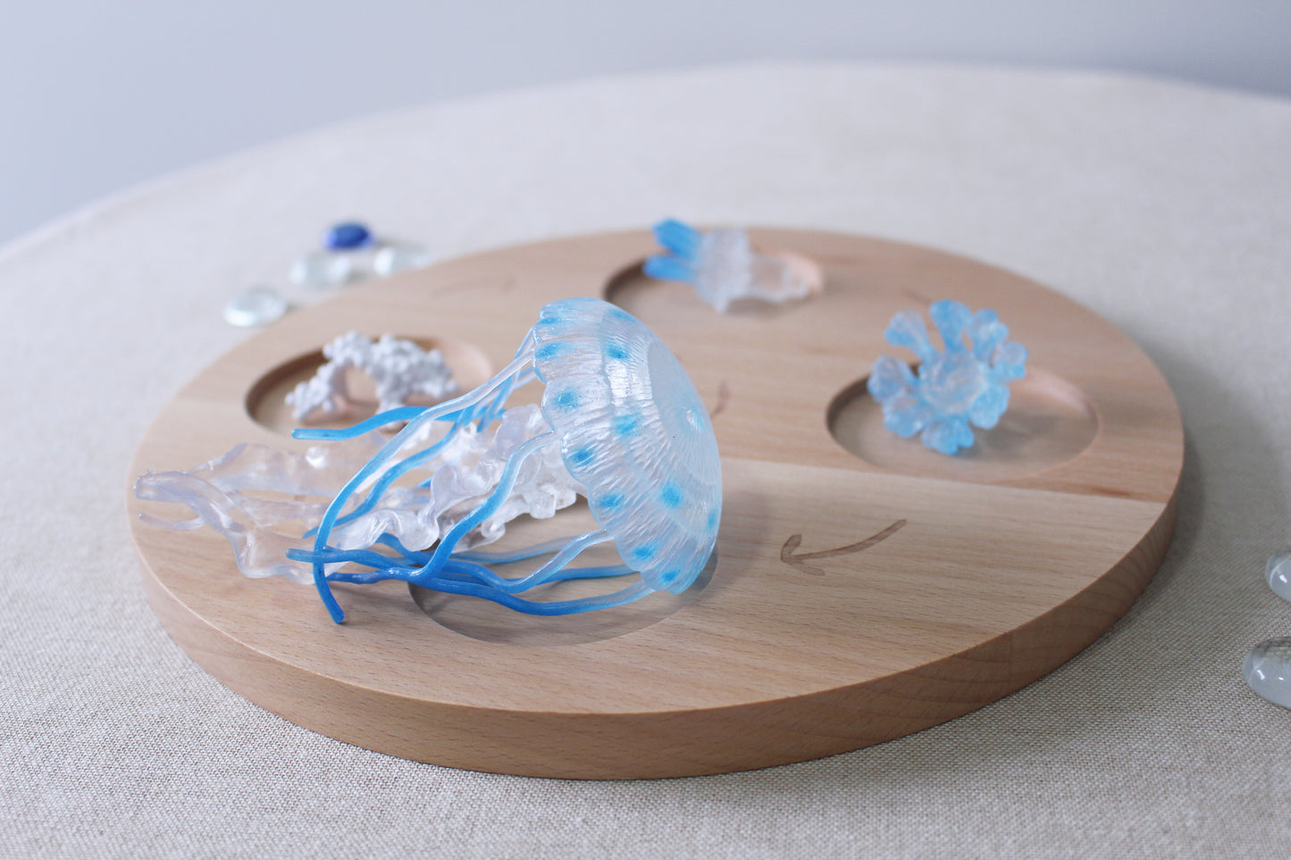 Life Cycle of a Jellyfish - Set of Figurines