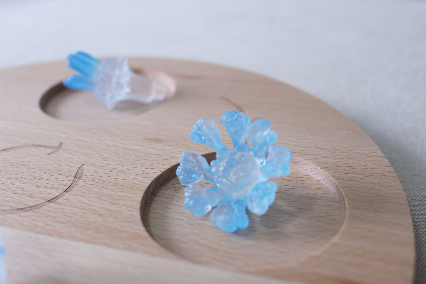 Life Cycle of a Jellyfish - Set of Figurines