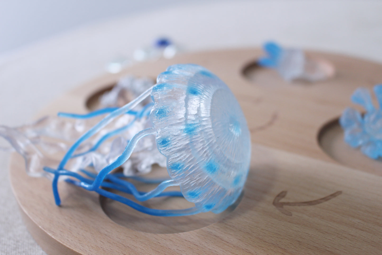 Life Cycle of a Jellyfish - Set of Figurines