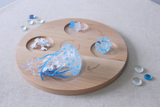 Life Cycle of a Jellyfish - Set of Figurines
