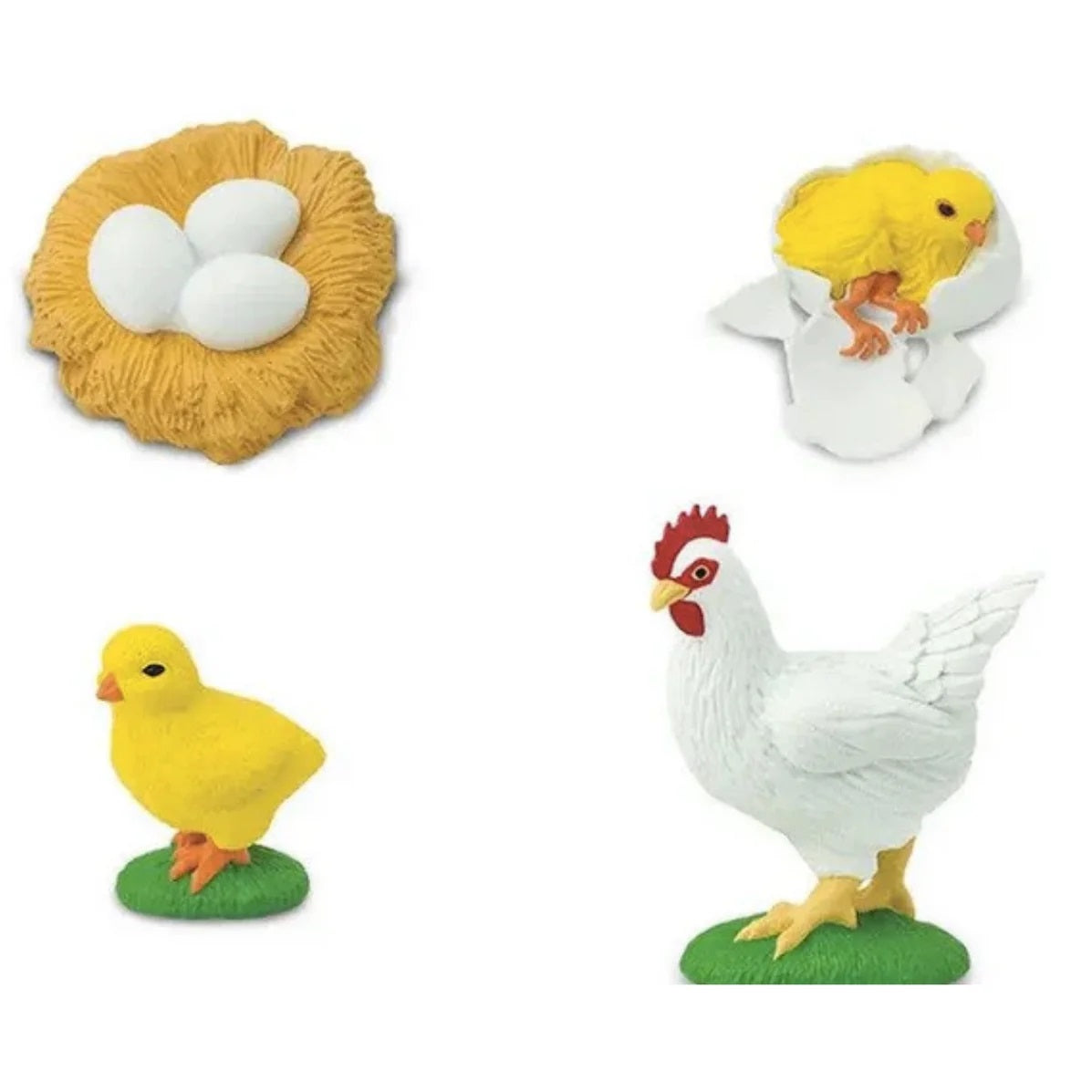 Life Cycle of a Rooster - Set of Figurines