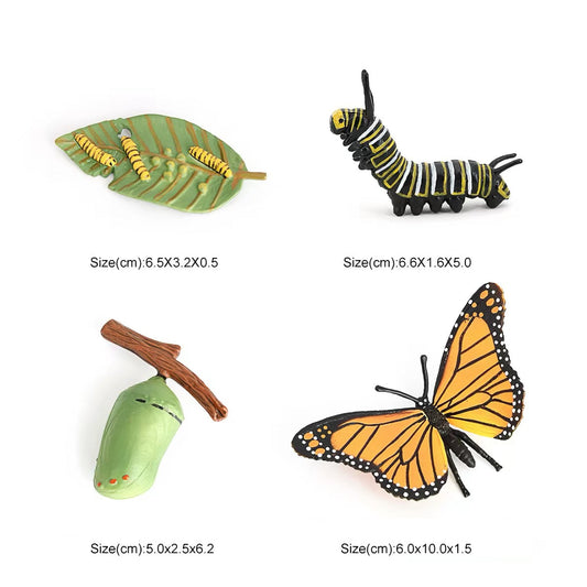 Life Cycle of a Butterfly - Set of Figurines