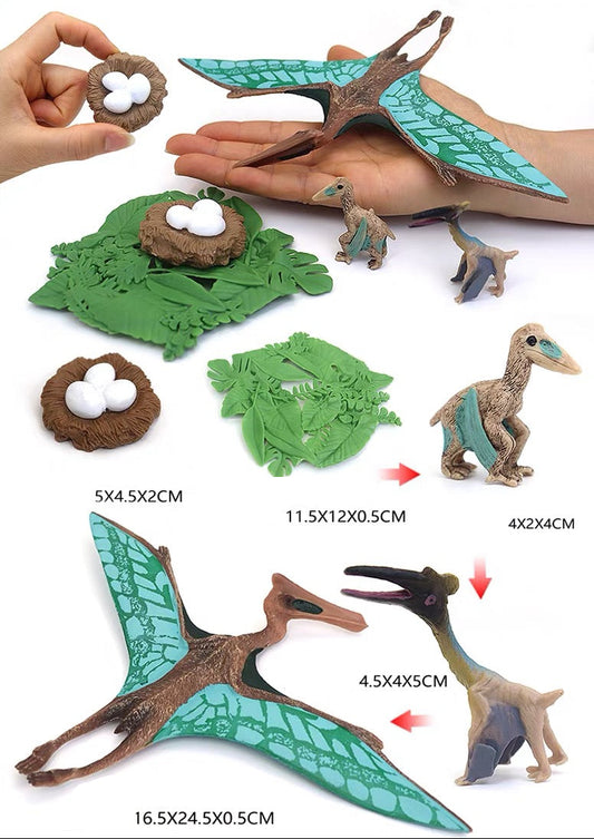 Life Cycle of a Pterodactyl - Set of Figurines