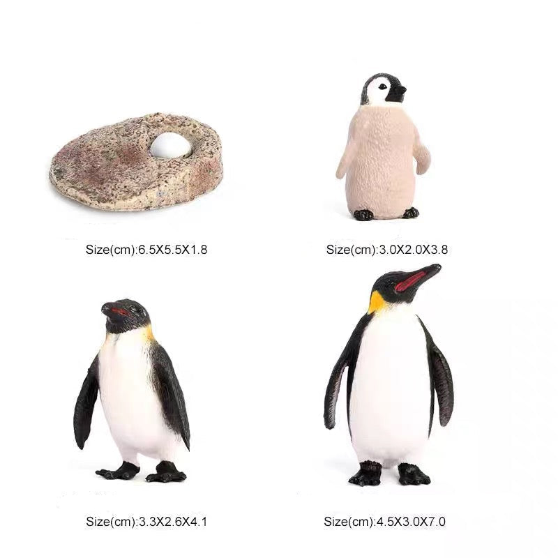 Life Cycle of a Penguin - Set of Figurines