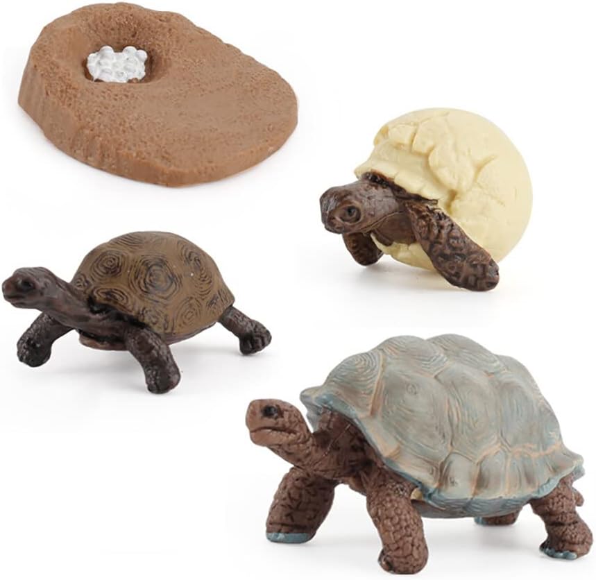 Life Cycle of a Tortoise - Set of Figurines