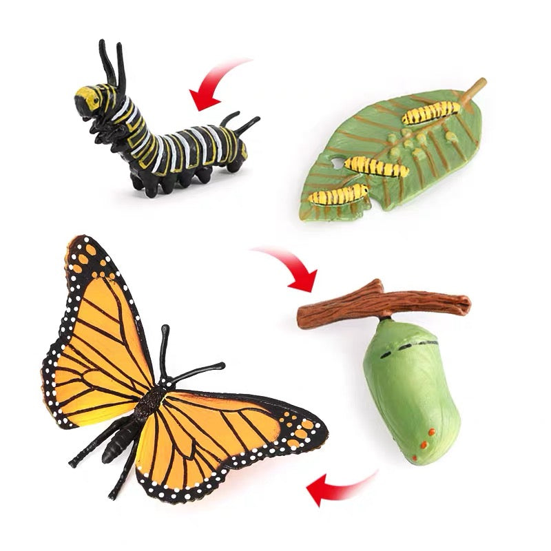Life Cycle of a Butterfly - Set of Figurines