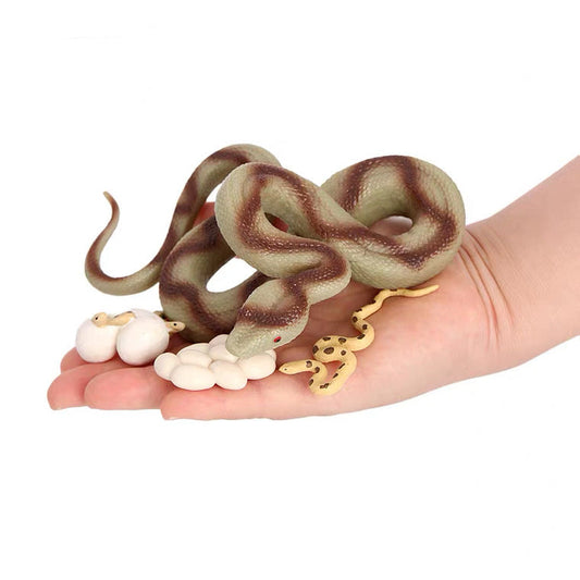 Life Cycle of a Snake - Set of Figurines